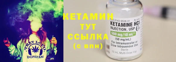трава Коряжма