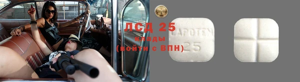 мяу мяу мука Корсаков