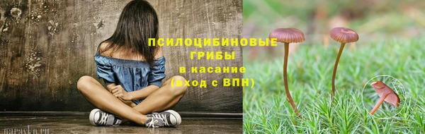 мяу мяу мука Козловка