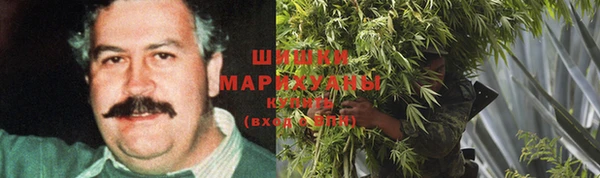 трава Коряжма