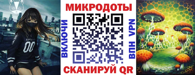 закладки  Медвежьегорск  маркетплейс официальный сайт  Псилоцибиновые грибы Psilocybine cubensis 