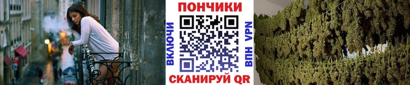 Бошки марихуана OG Kush Медвежьегорск